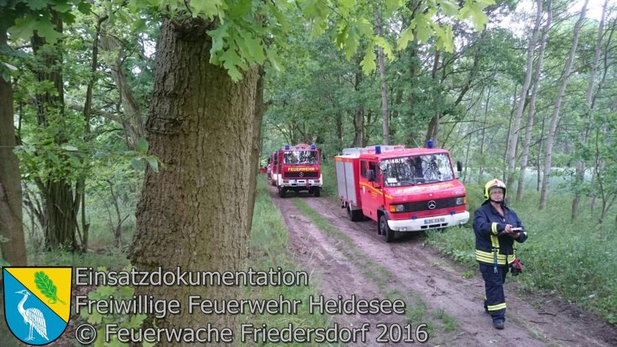 Einsatz 53/2016 | 5 Bäume auf Straße | Bindow Blossiner Stieg 24.05.2016