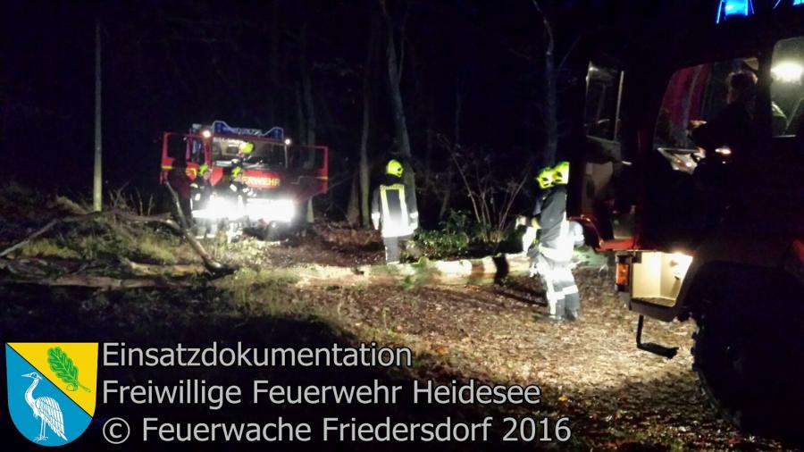 Einsatz 112/2016 | Baum über Straße | Friedersdorf Spreestraße 20.11.2016