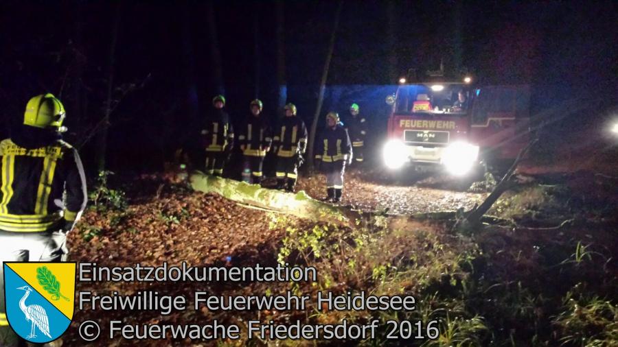 Einsatz 112/2016 | Baum über Straße | Friedersdorf Spreestraße 20.11.2016