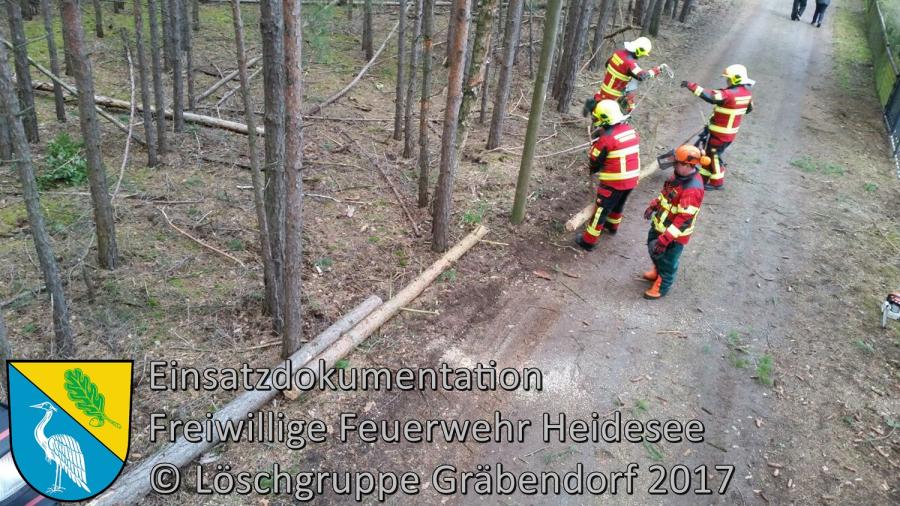 Einsatz 17/2017 | Baum in Telefonleitung | Gräbendorf Körbiskruger Straße | 18.03.2017