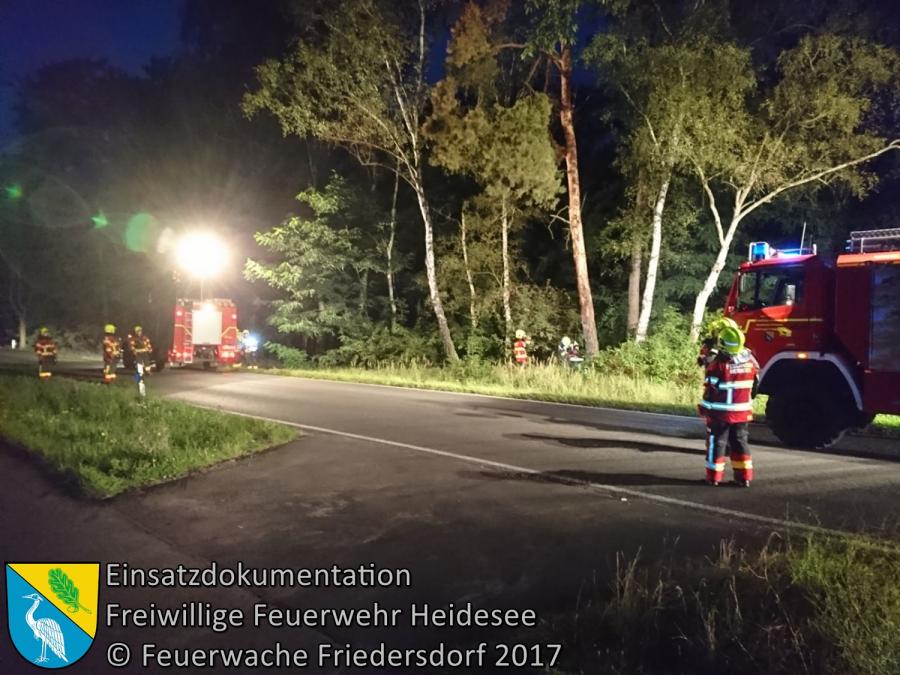 Einsatz 118/2017 | Baumkrone droht zu stürzen | L40 OV Friedersdorf - Bindow | 05.09.2017