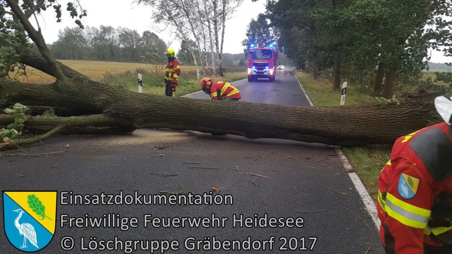 Einsatz 129/2017 | Baum über Straße | K6152 OV Gussow - Bindow | 05.10.2017