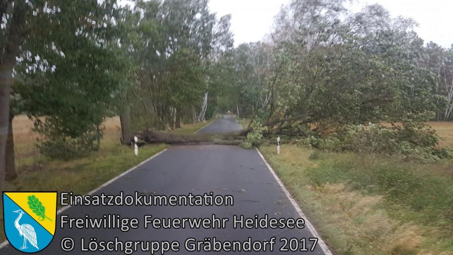 Einsatz 129/2017 | Baum über Straße | K6152 OV Gussow - Bindow | 05.10.2017