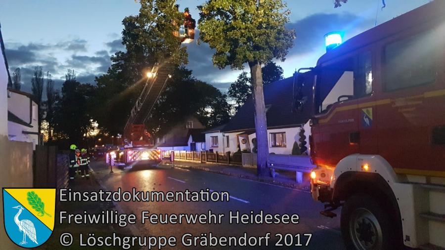Einsatz 288/2017 | Ast droht zu stürzen | Gräbendorf Kalr-Woitschach-Straße | 06.10.2017