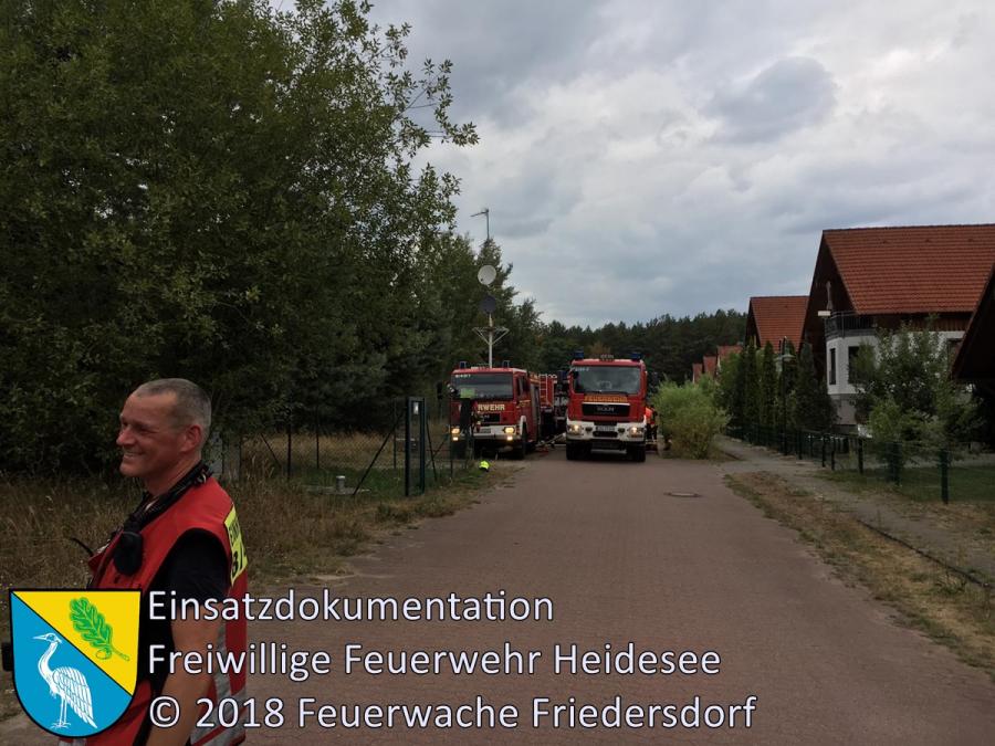 Einsatz 110/2018 | 2000m² Flächen- und Waldbrand | Wolzig Parkstraße | 14.08.2018