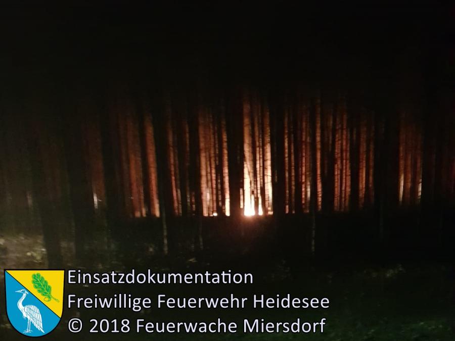 Einsatz 119/2018 | 350 ha Waldbrand | Treuenbrietzen (PM) | 24.08.2018