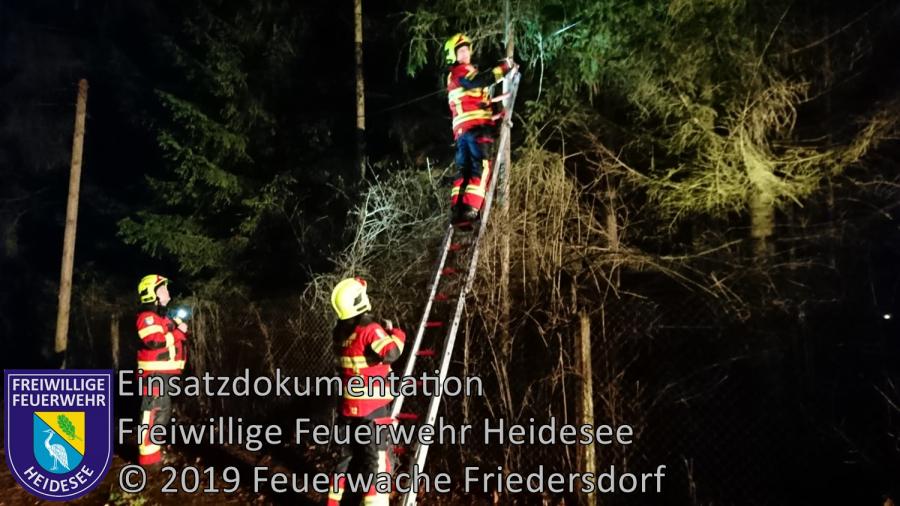 Einsatz 2/2019 | Telefonmast droht zu stürzen | Bindow Waldfrieden | 01.01.2019