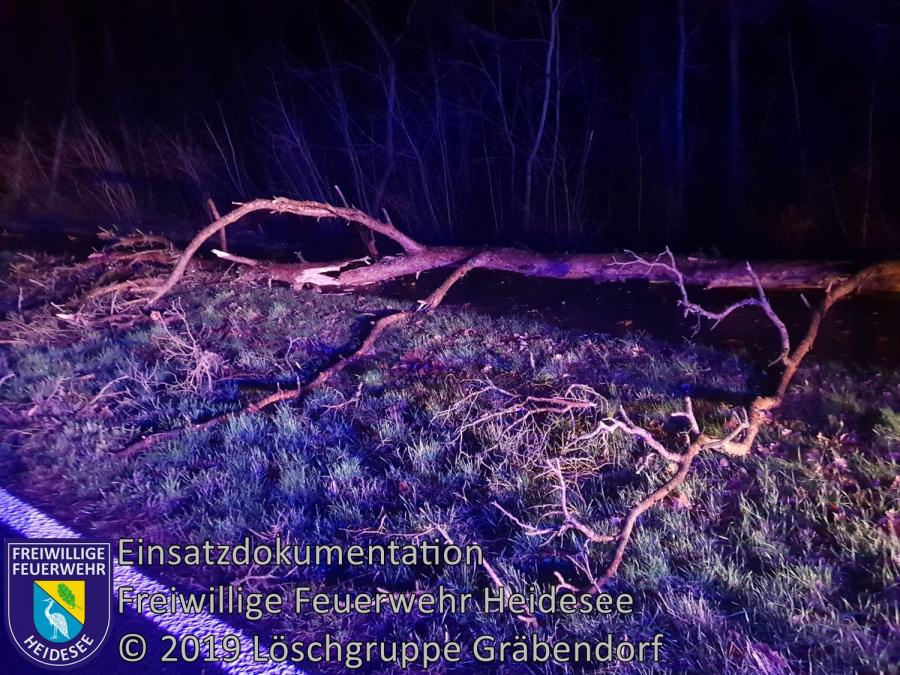 Einsatz 3/2019 | Baum auf Radweg | B 246 OV Gräbendorf - Bestensee | 01.01.2019