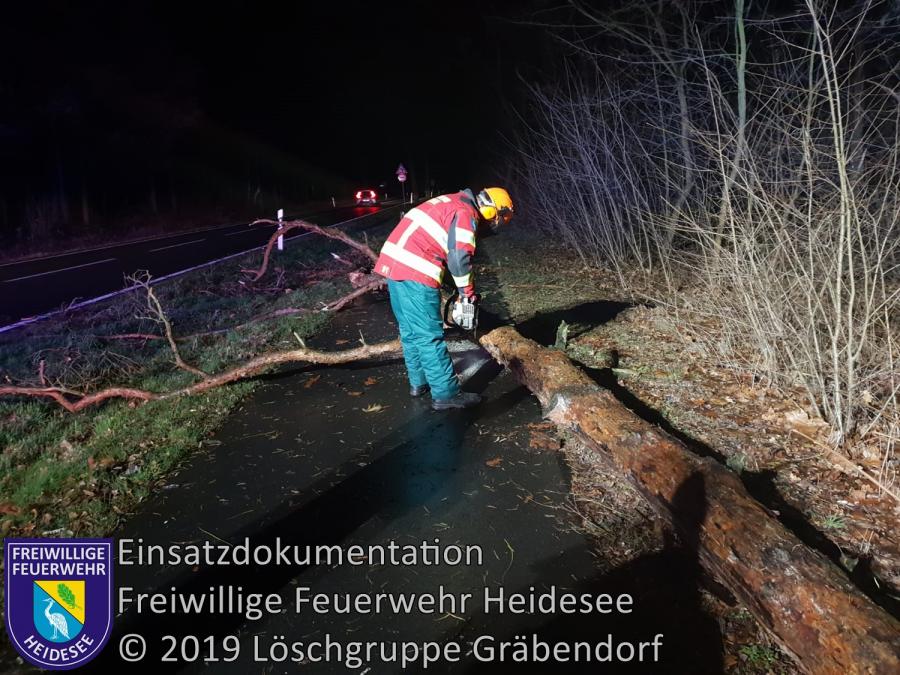 Einsatz 3/2019 | Baum auf Radweg | B 246 OV Gräbendorf - Bestensee | 01.01.2019