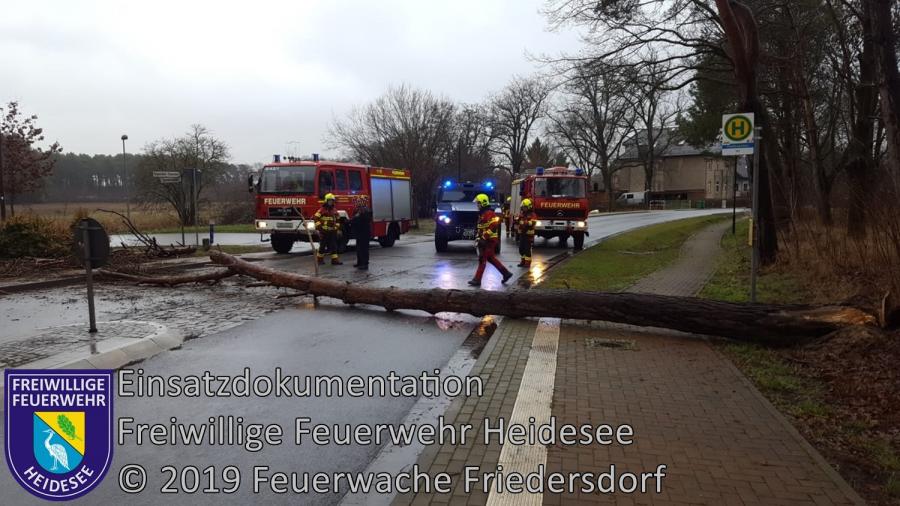 Einsatz 4/2019 | Baum auf Straße | L 39 OV Friedersdorf - AS Friedersdorf | 08.01.2019