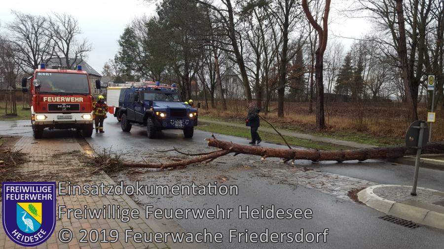 Einsatz 4/2019 | Baum auf Straße | L 39 OV Friedersdorf - AS Friedersdorf | 08.01.2019