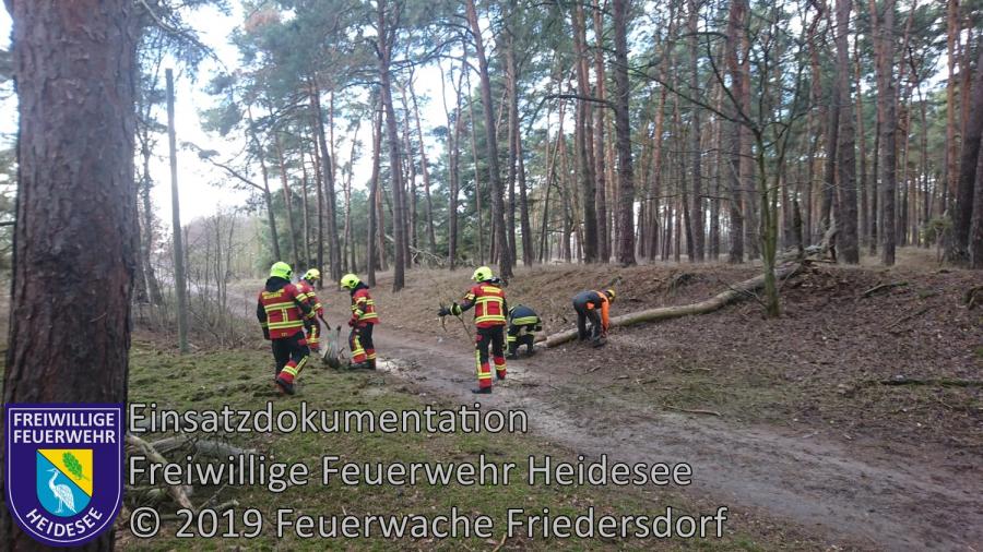 Einsatz 17/2019 | Baum auf Straße | Friedersdorf Wilhelmstraße | 12.02.2019