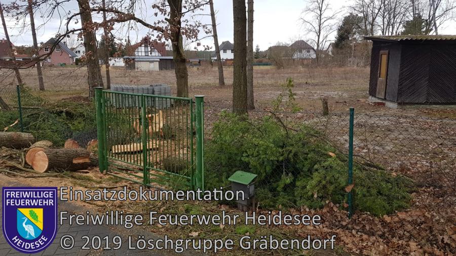 Einsatz 20/2019 | Baum auf Straße | Gräbendorf Frauenseestraße | 04.03.2019