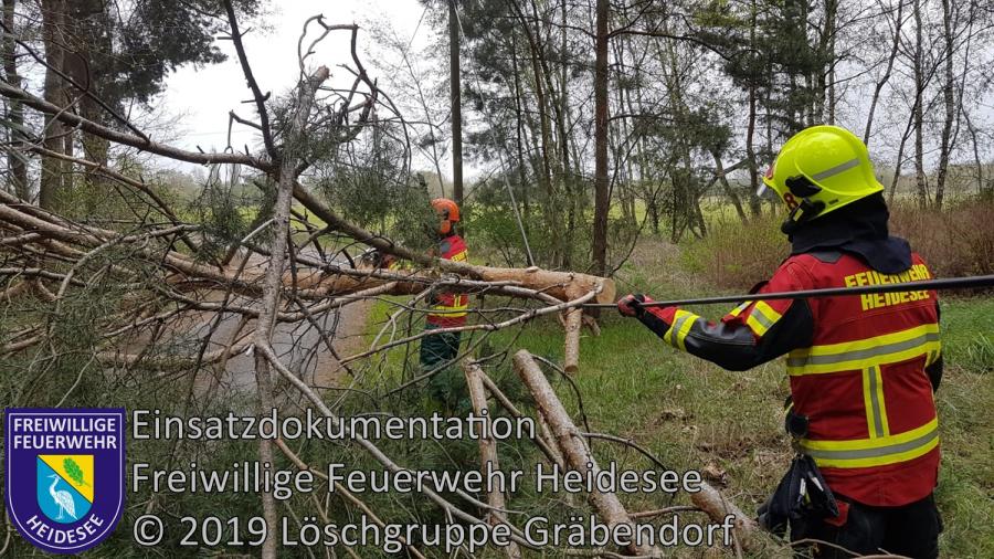 Einsatz 39/2019 | Baum auf Straße | Gräbendorf Buschgartenweg | 23.04.2019