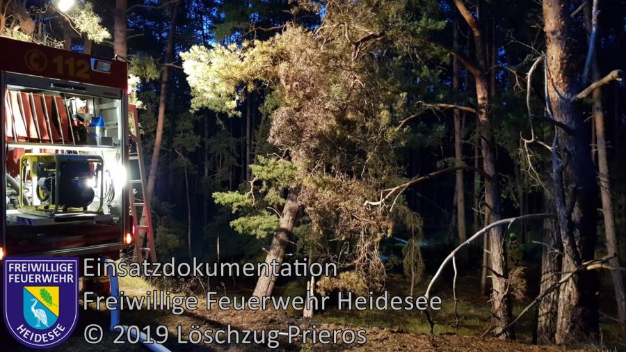 Einsatz 81/2019 | 700m² Waldbodenbrand | Pätz Weinbergstraße | 17.06.2019