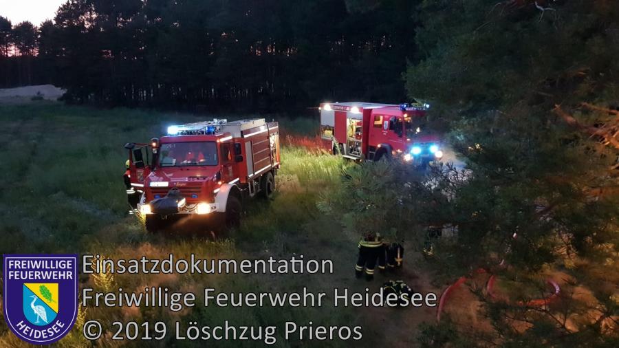 Einsatz 81/2019 | 700m² Waldbodenbrand | Pätz Weinbergstraße | 17.06.2019