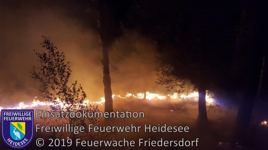 Einsatz 84/2019 | Großwaldbrand ca. 100 ha | Butzen Lieberoser Heide | 24.06.2019