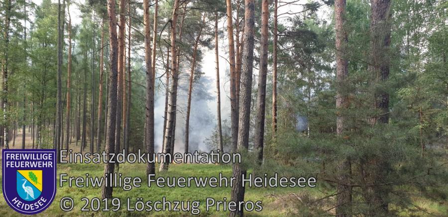 Einsatz 84/2019 | Großwaldbrand ca. 100 ha | Butzen Lieberoser Heide | 24.06.2019