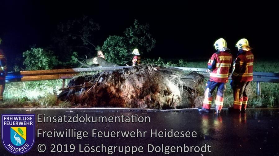 EInsatz 102/2019 | Baum auf Straße | L40 OV Bindow - Senzig | 21.07.2019