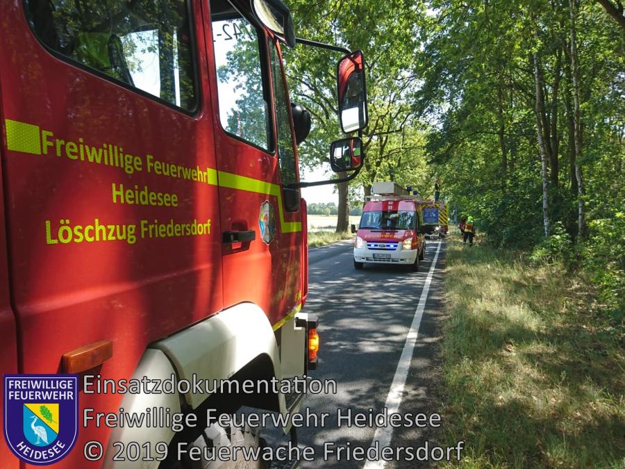 Einsatz 110/2019 | Ast droht zu stürzen | L40 OV Wolzig - Friedersdorf | 24.07.2019