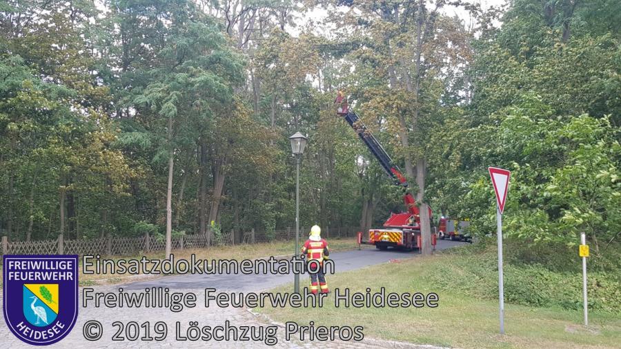 Einsatz 135/2019 | Baum droht zu stürzen | Kolberg Am Campingplatz | 05.09.2019