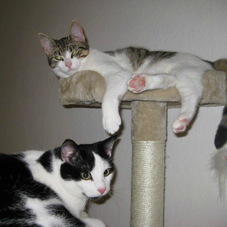 Kitty & Jürgen