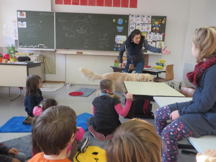 Grundschule Gemünden - Ole im Schlafzimmer Grundschule Gemünden - Ole im Schlafzimmer