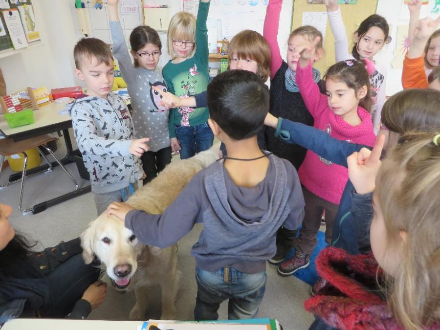 Grundschule Gemünden - Ole im Schlafzimmer Grundschule Gemünden - Ole im Schlafzimmer