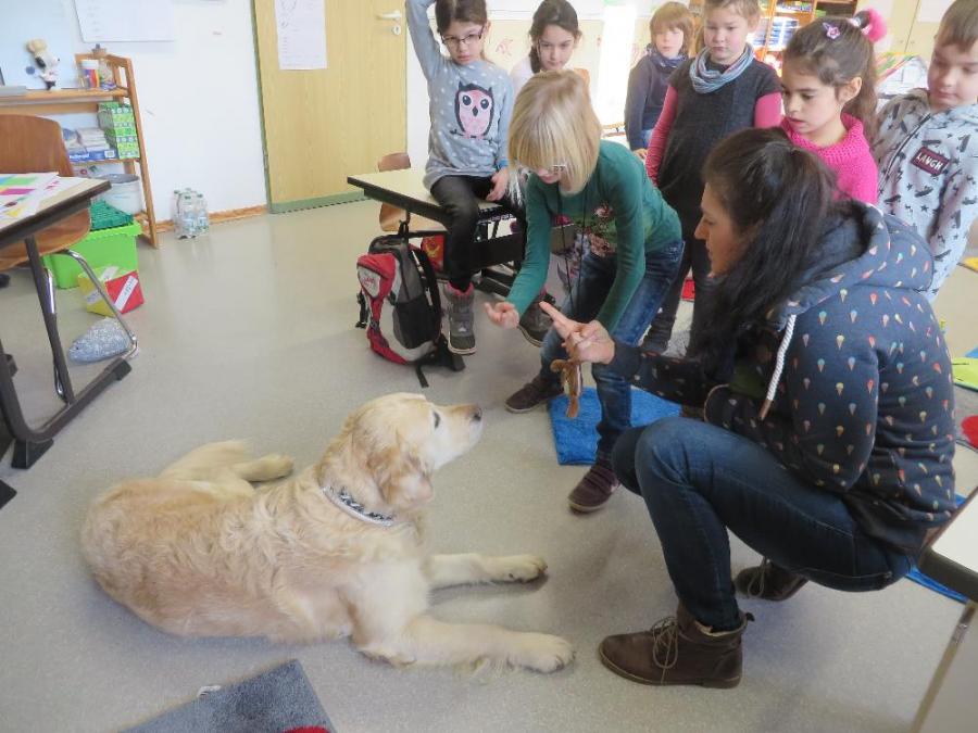 Grundschule Gemünden - Ole im Schlafzimmer Grundschule Gemünden - Ole im Schlafzimmer
