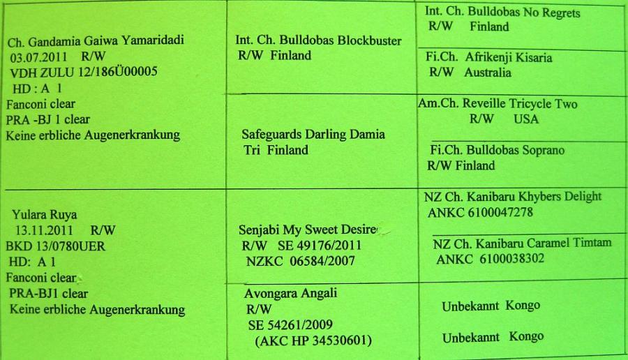 Pedigree of Ruya + Simba