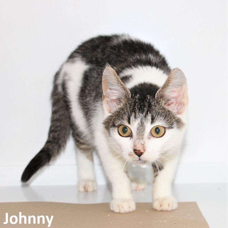 Johnny