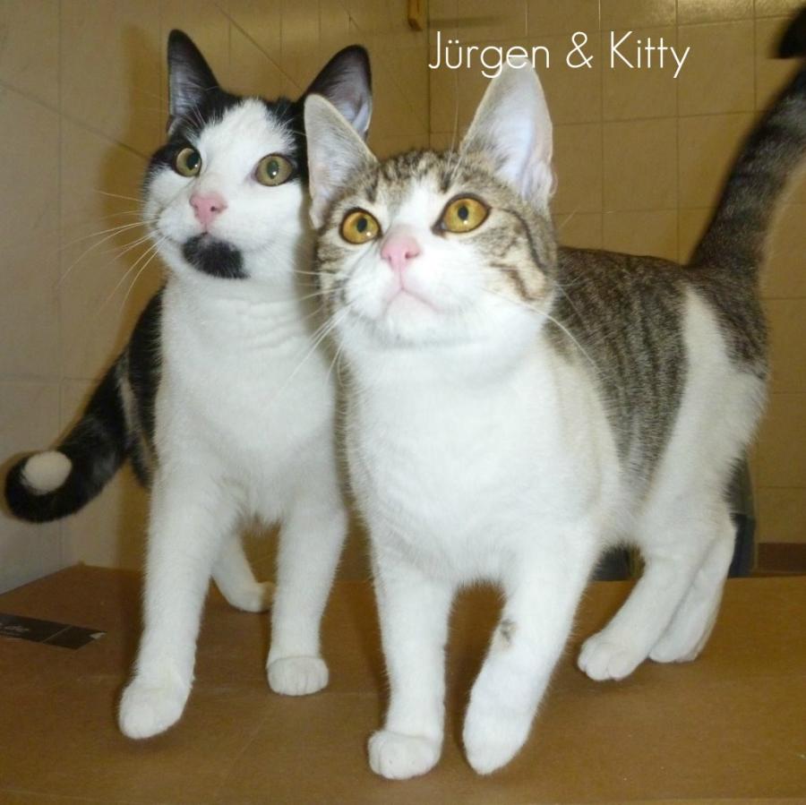 Jürgen&Kitty