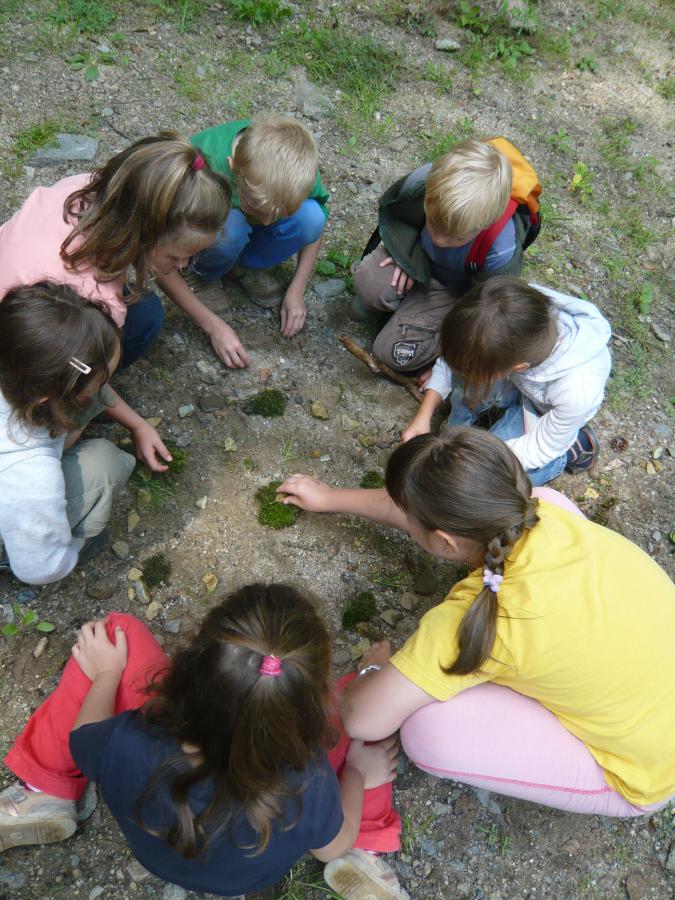 Kinder machen ein Waldmandala.jpg