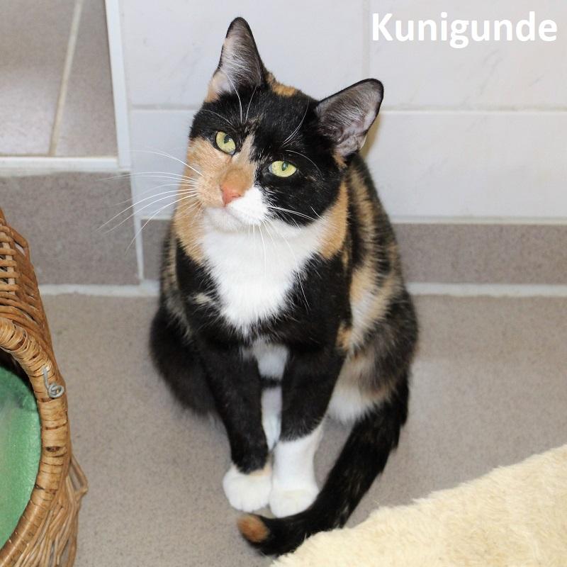 Kunigunde