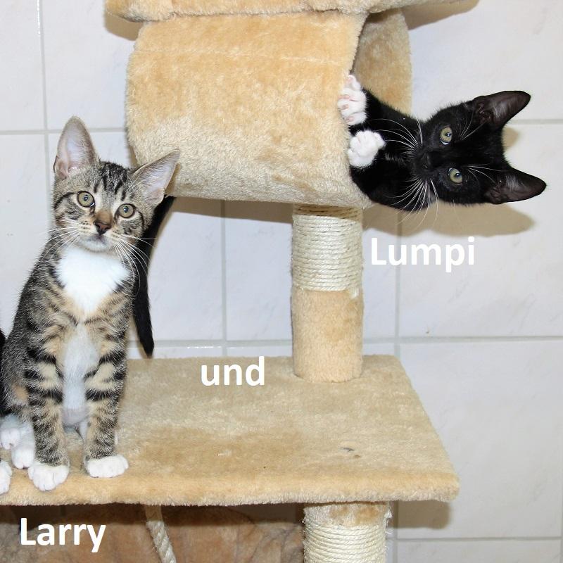 Larri & Lumpi