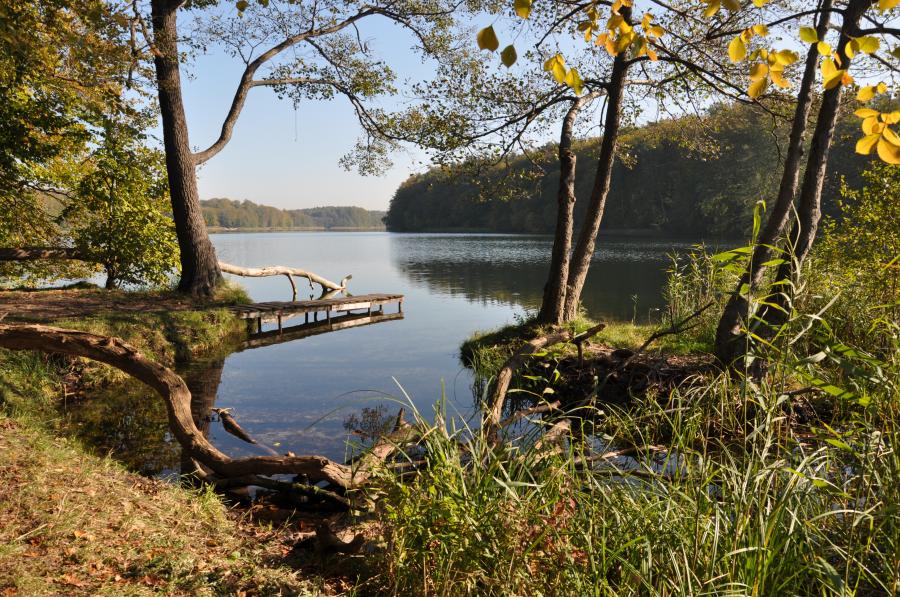 Liepnitzsee_Foto: Gerigk