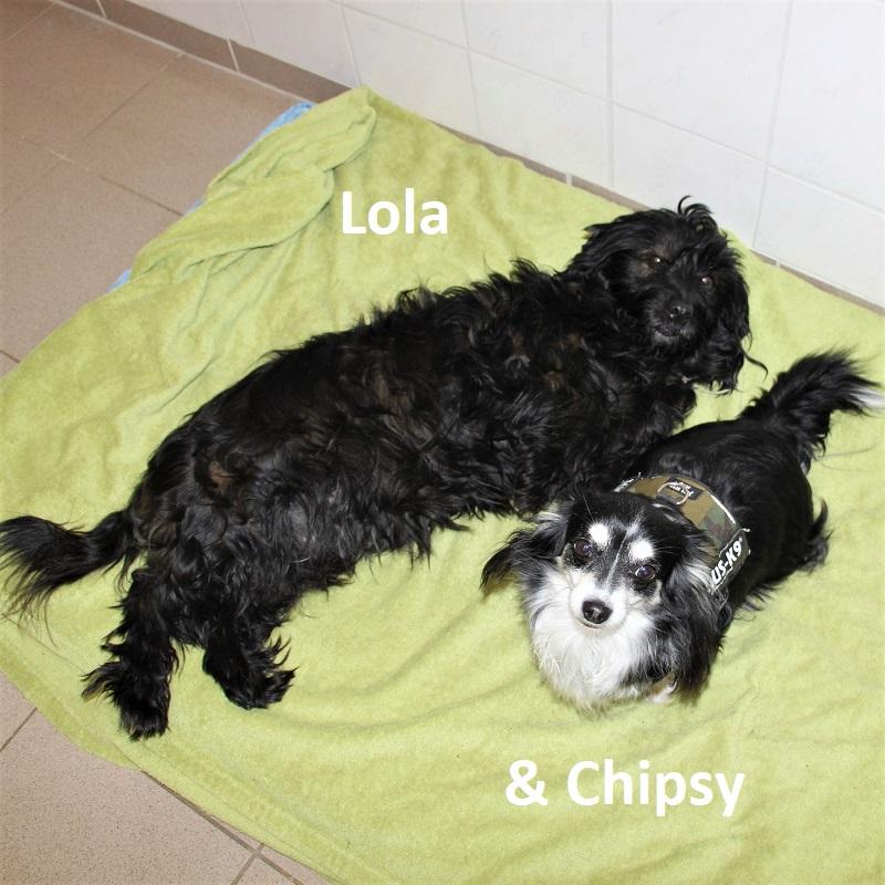 Lola & Chipsy