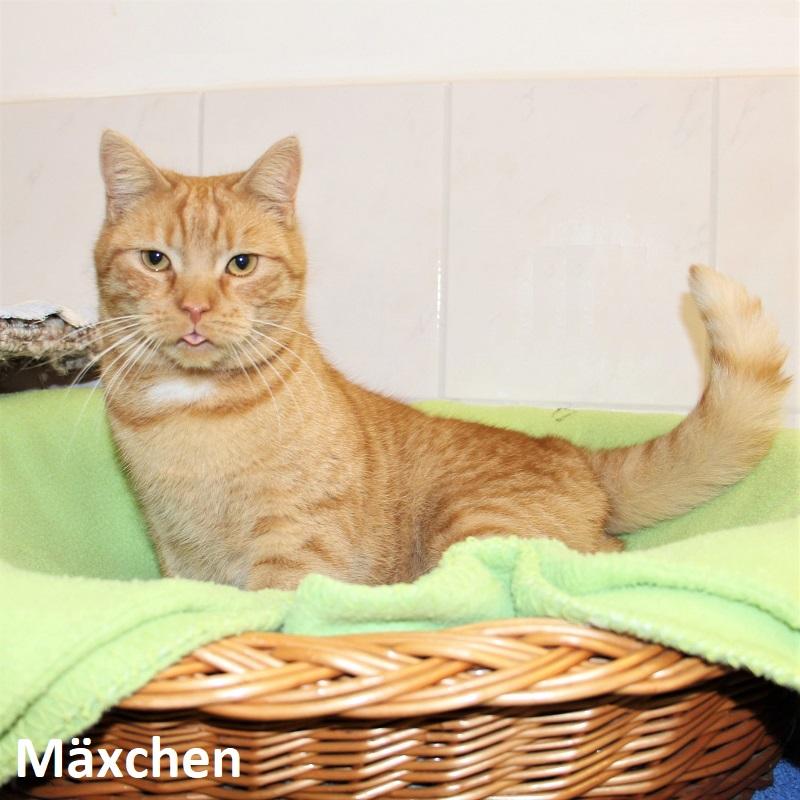 Mäxchen