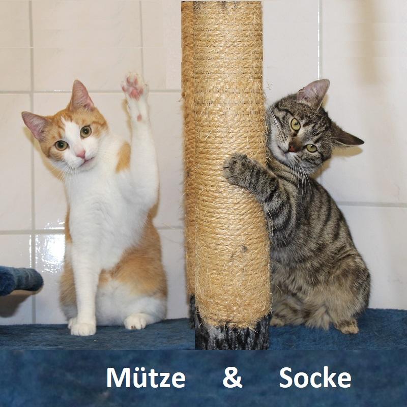 Mütze & Socke