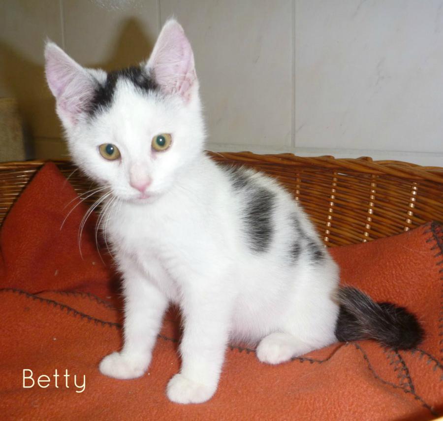 Betty