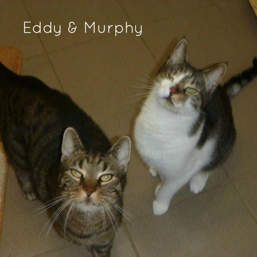 Eddy & Murphy