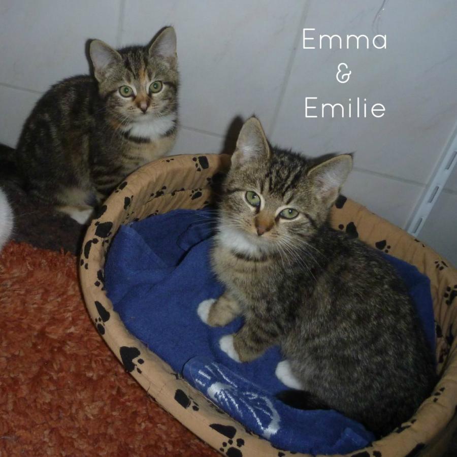 Emma & Emilie