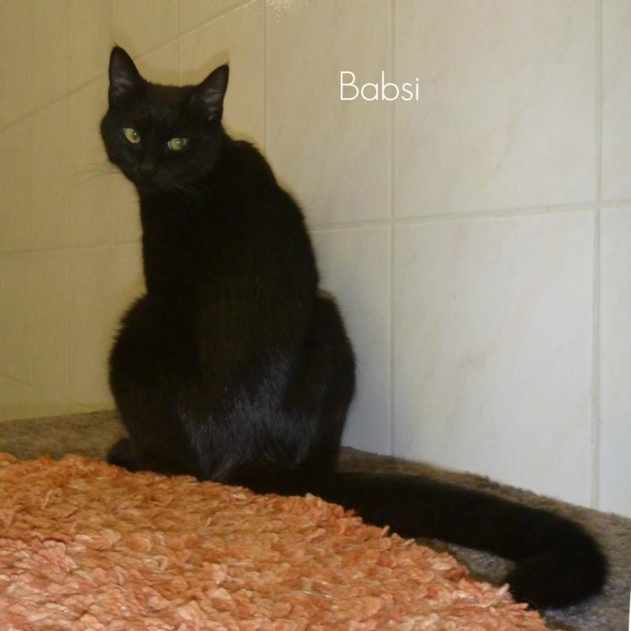 Babsi