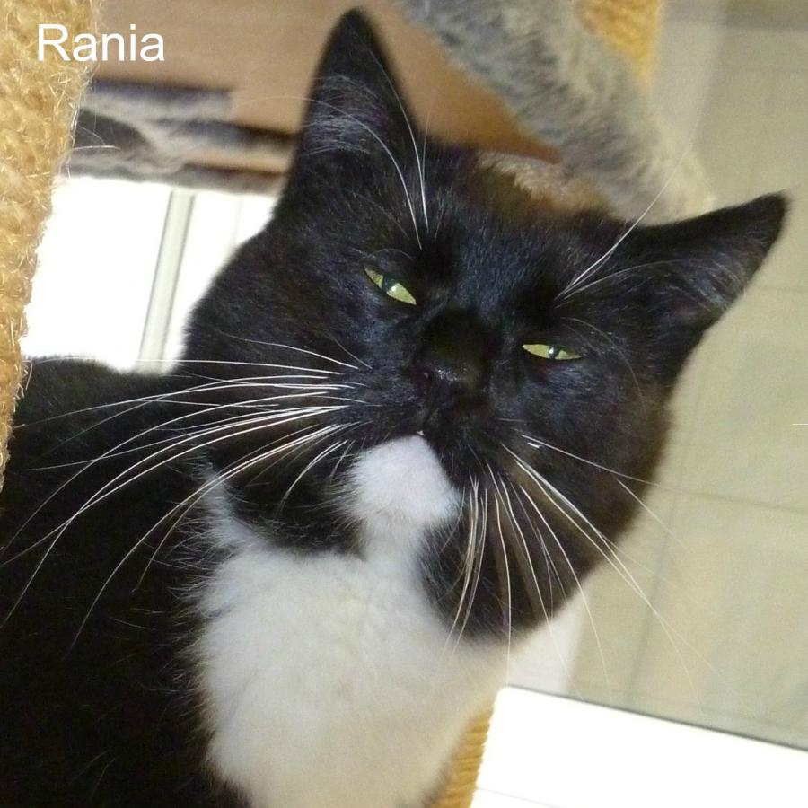 Ramia