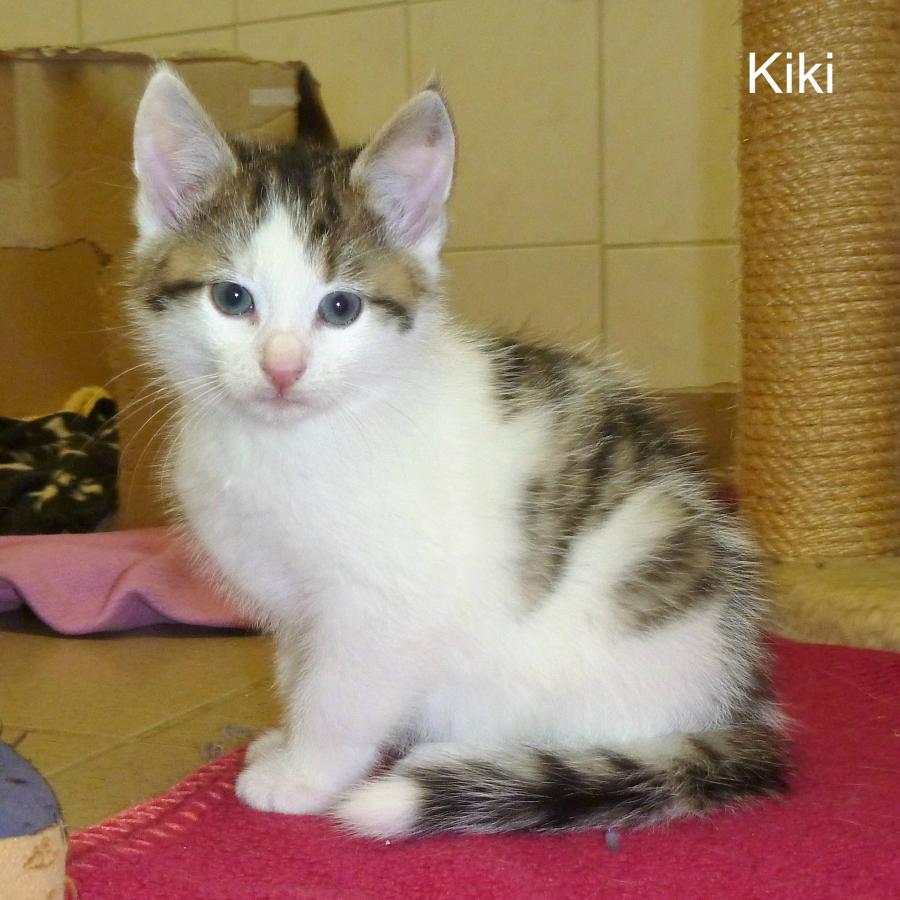 Kiki
