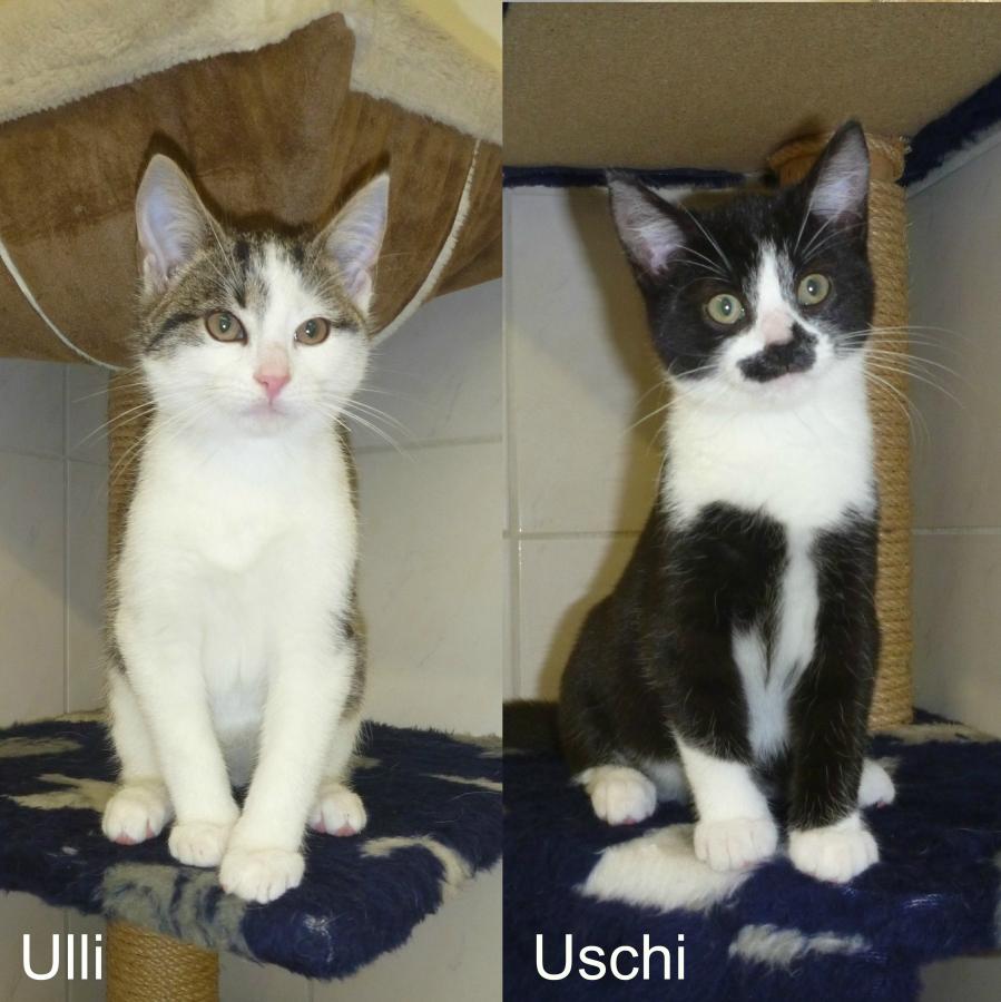 Ulli und Uschi