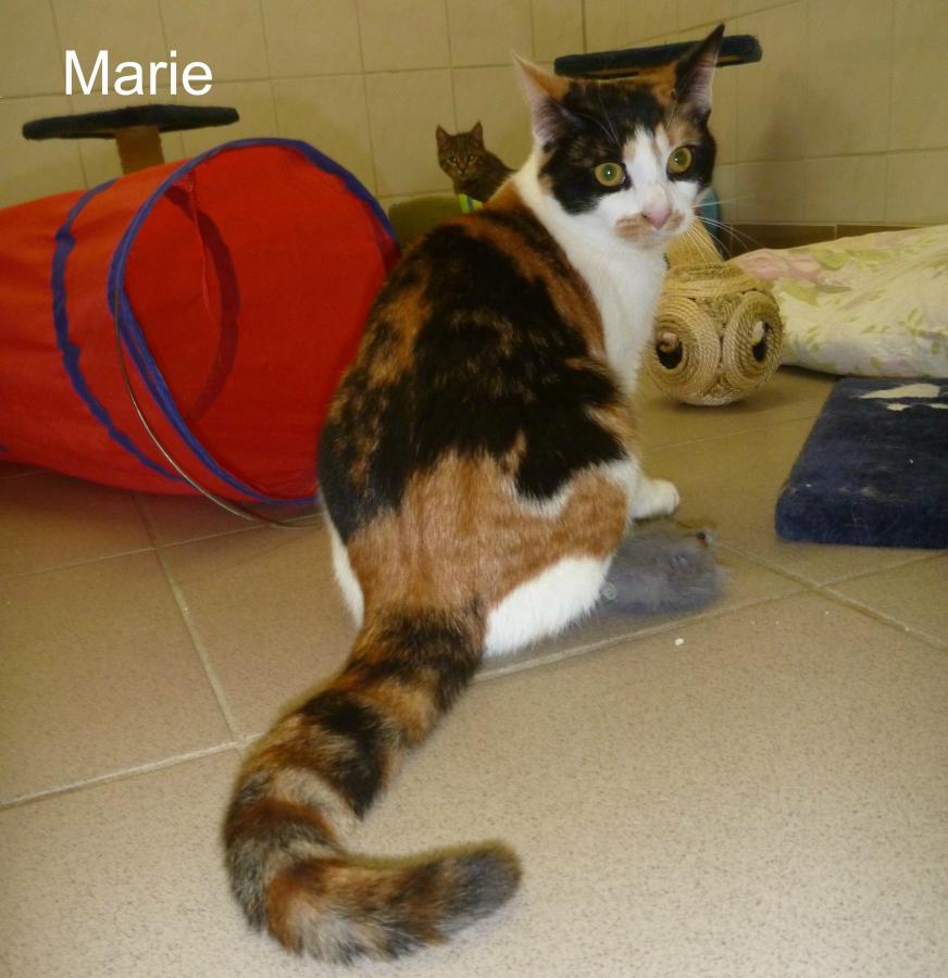 Marie