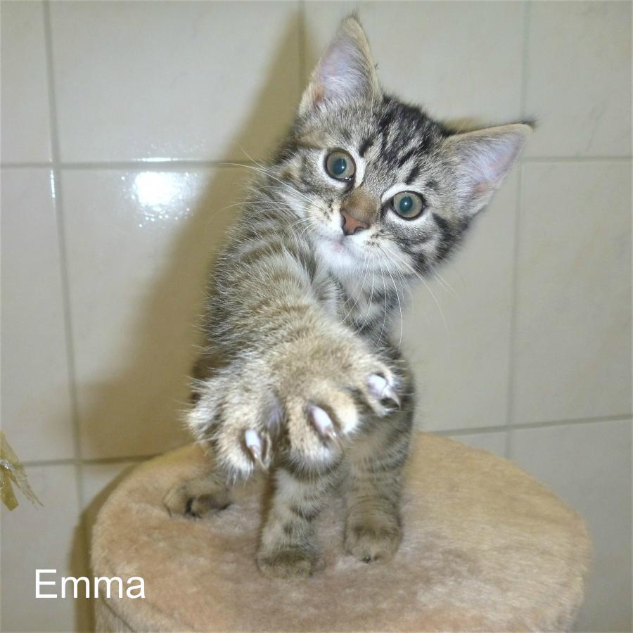 Emma
