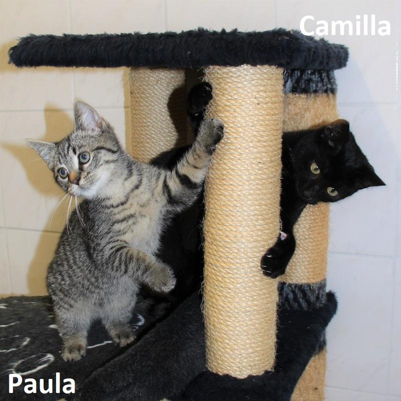 Paula & Camilla