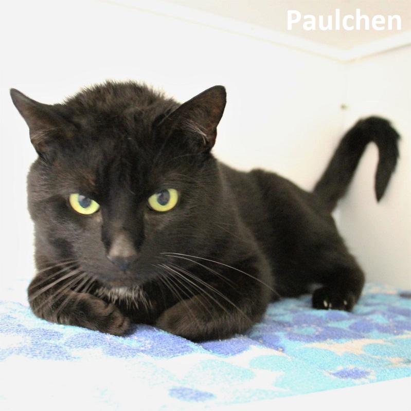 Paulchen